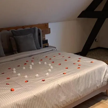 Guest house O13 Loft Privatif Sauna Balneotherapie A 30min De Pairi Daiza Quievrechain